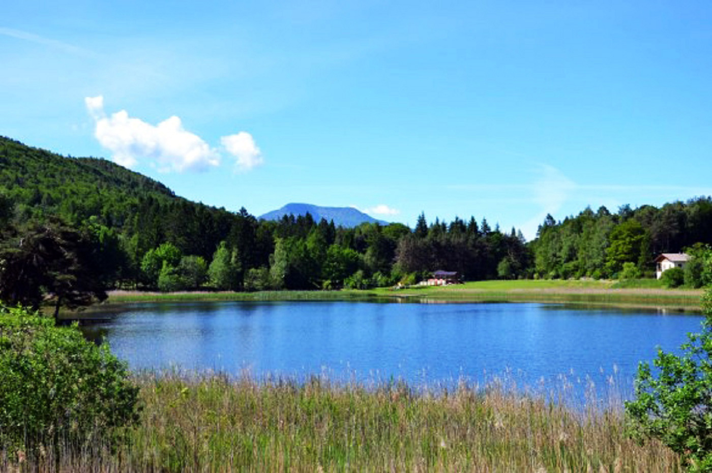 lago lagolo